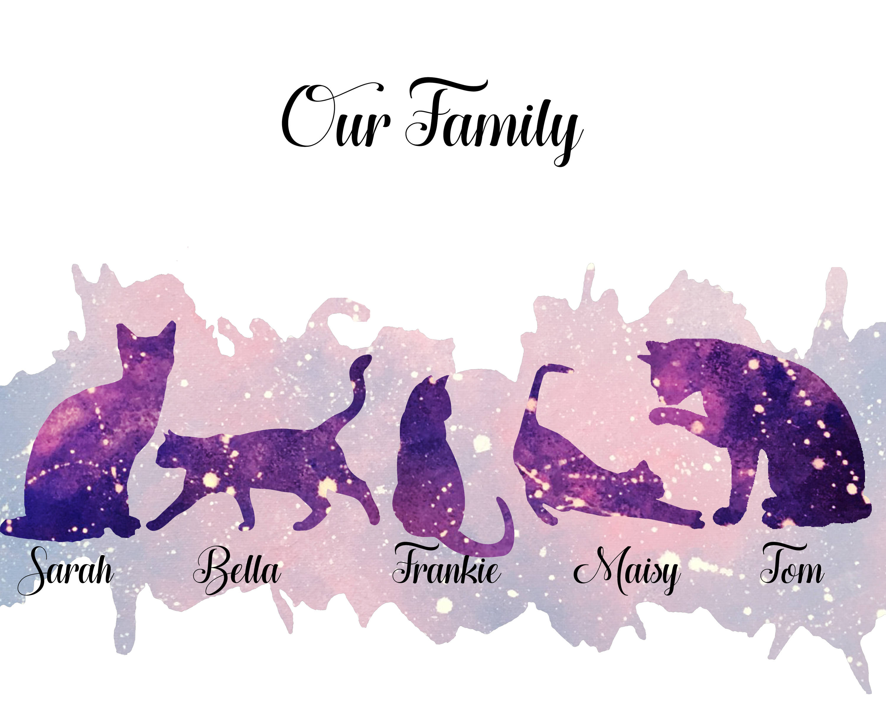 The cat family